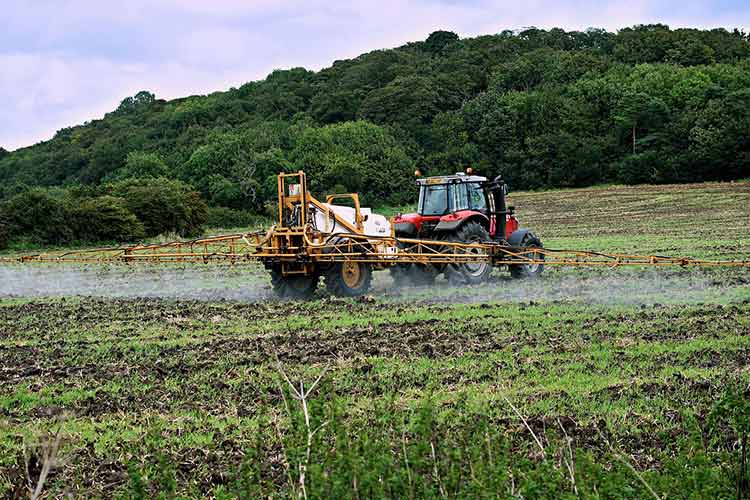 azoxystrobin-chemical-name