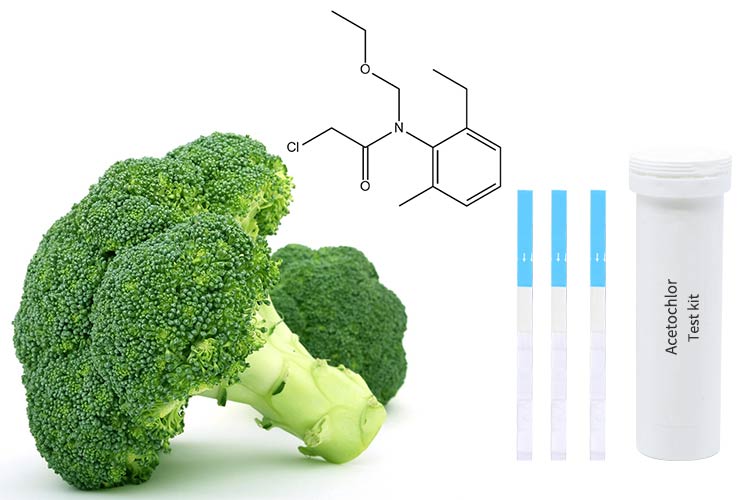 food-pesticide-residue-testing