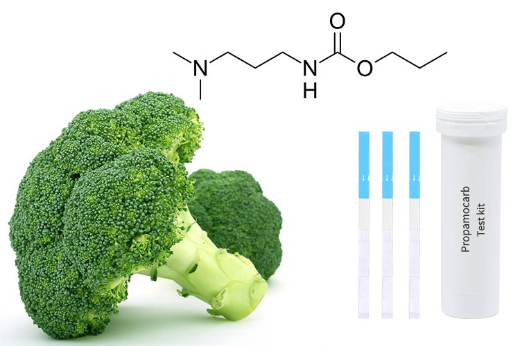 food-pesticide-test-kit