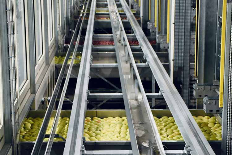 general-standards-pesticide-test-answers