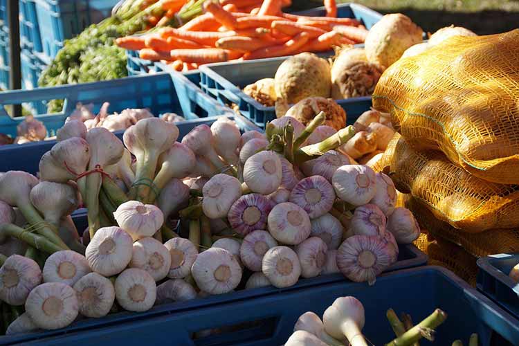 pesticide-testing-laboratory