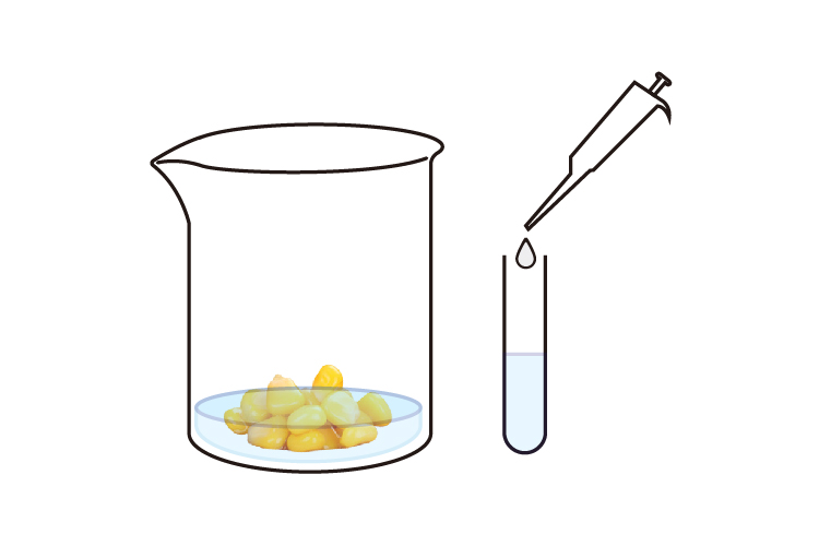 pesticide-testing-labs-near-me