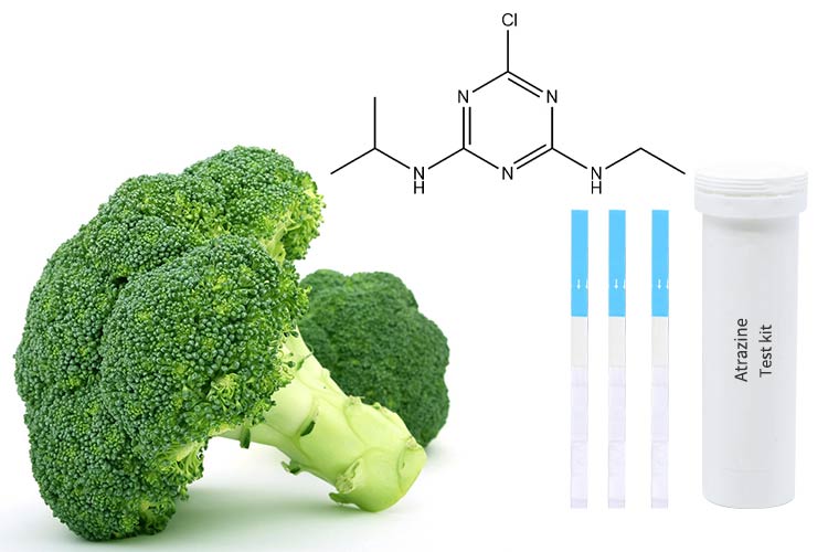 test-food-for-pesticides