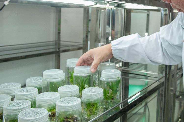 testing-for-pesticides